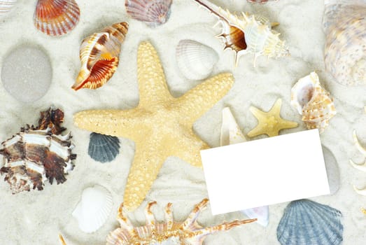 sea stars and shells an blank postcard on sands