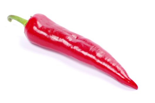 red hot chili pepper on white