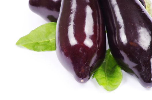aubergine isolated on white background