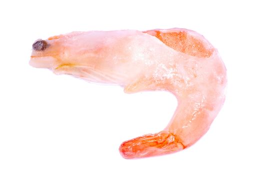 shrimp isolated on a white background