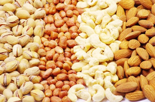 nuts collection as a background