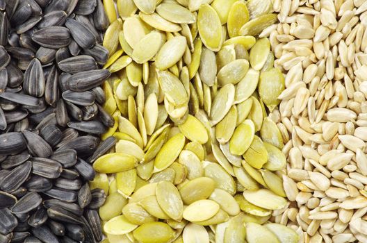 Close up image of sunflower and pumpkin seeds