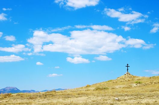 field on a background of the blue sky