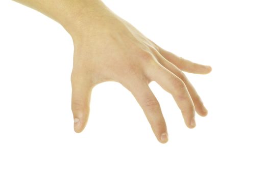 hand isolated on a white background