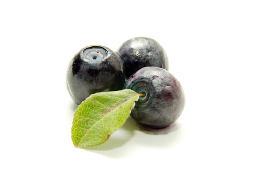  blueberries with green leaves on white background