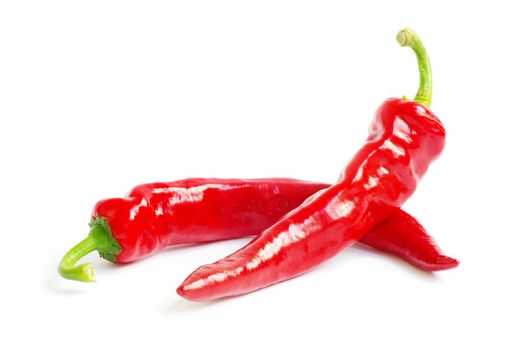 fresh red hot pepper on a white 
