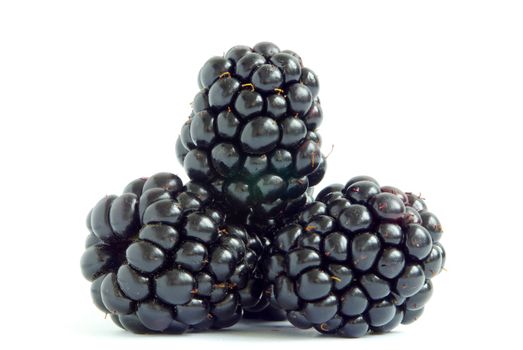 blackberry isolated on white background