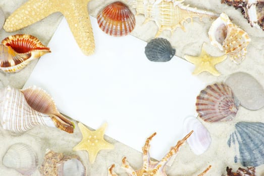 sea stars and shells an blank postcard on sands