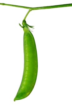 Pea pod with clipping path