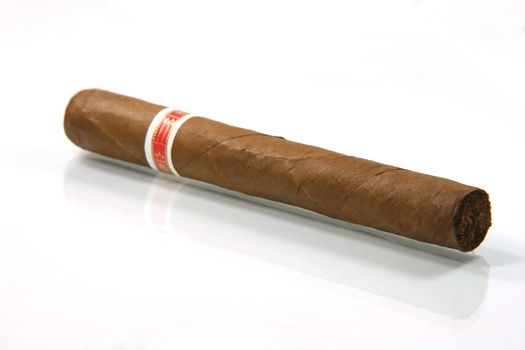 one cuban cigar with reflection in white background prespective