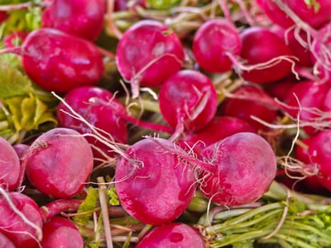 photo of tasty fresh radish (Raphanus sativus)