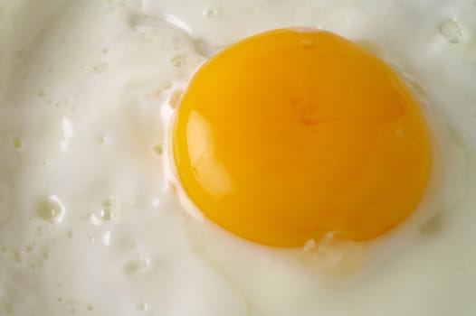 Fried egg closeup (1)