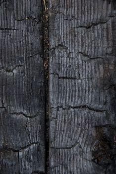 
High resolution burnt wood texture. (Oak) 
