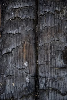 
High resolution burnt wood texture. (Oak) 
