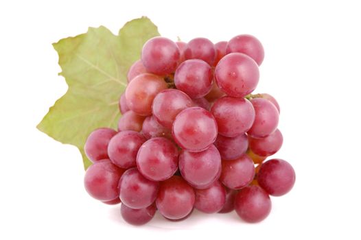 The bunch of grape. Close-up. Isolated.