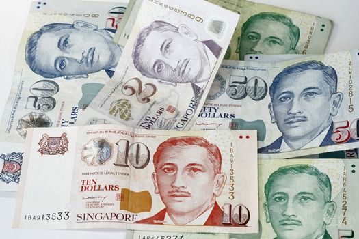 Singapore Dollar denomination two ten five and fifty