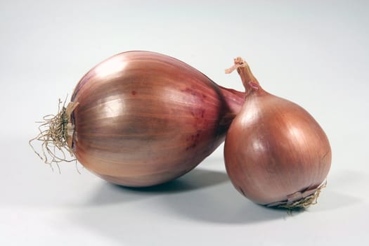 vegetables two dry onion closeup in white background