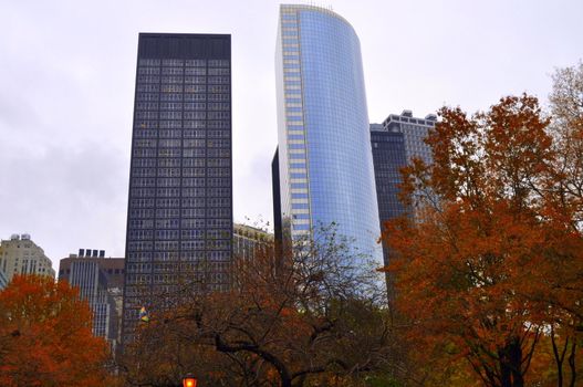 Some skyscrapers seen from Battery park, NY.