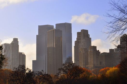 A skyline of high rise buildings seen from central park in NY an autumn day.