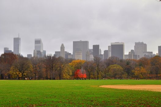 A part of the great lawn in central park, New york with a skyline in the background