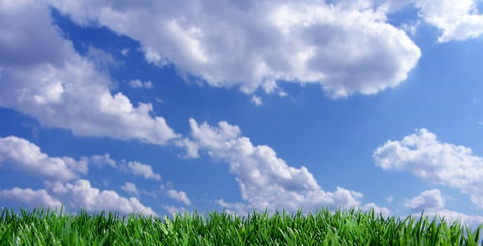 gras and sky