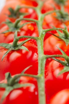 Some fresh ripe cherry tomatoes on a branch