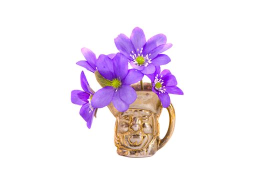 spring time violet flowers in small brass vase isolated on white background, Spring symbol