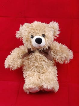 Brown bear toy isolated on red background with shadow.