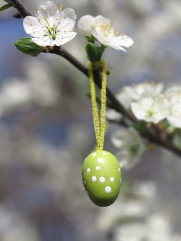 Some colourful easter eggs hanging at branches