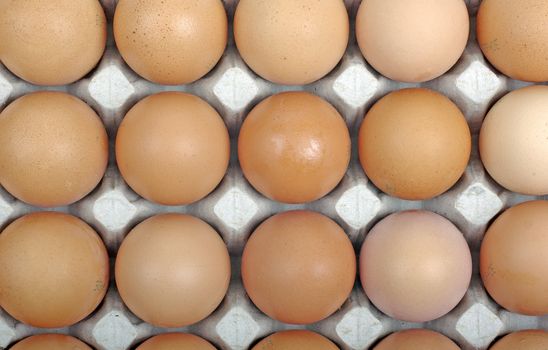 Eggs in cardboard package as background or backdrop.