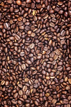 Vertical brown roasted coffee beans as background or backdrop.