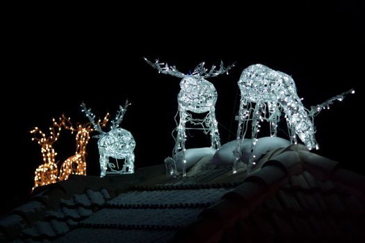 Image of Christmas decoration in the form of reindeers at night