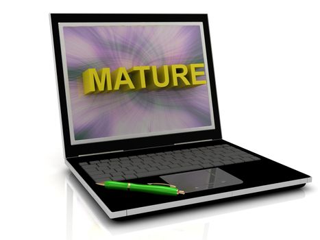 MATURE message on laptop screen in big letters. 3D illustration isolated on white background