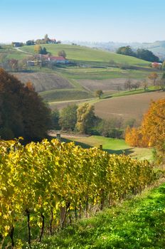 Grasslands hils and wineyards at Robaje - Croatia