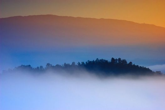 View point wetlands sea fog in north, Thailand.
 