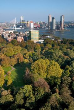 View of Rotterdam city  and park from Euromast tower - Netherlands