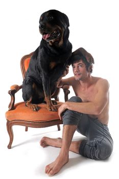portrait of a purebred rottweiler and man in front of white background