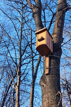 Bird house hanging on the trunk of a tree. Beginning of winter