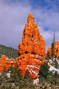 Rock pillar rises above the pines of Red Canyon of the Dixie National Forest - Utah.