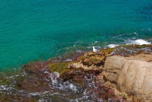 Rock in deep clean sea water. Seascape of Lloret de Mar shore, Spain.