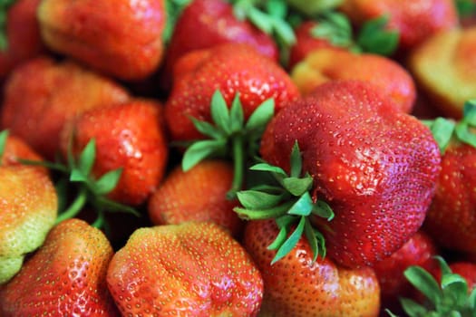 Fresh strawberry as background or wallpaper. Selective focus.