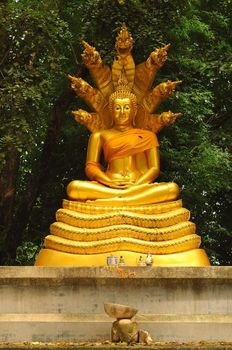 Gold buddha statue in the park Thai temple.