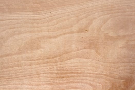 Pattern of Lighr Brown Wood Surface Texture, Vertical