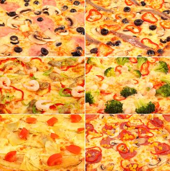 Collage of pizza food - excellent quality