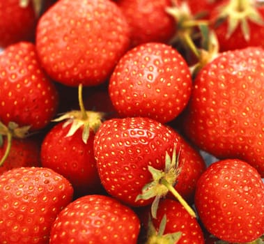 fresh strawberry