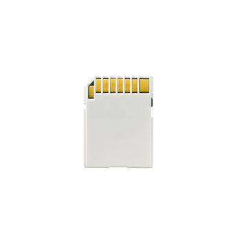 an SD memory card isolated on a white background