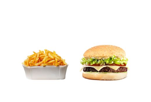 Delicious cheeseburger with fries