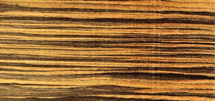 Wood texture close-up background aged