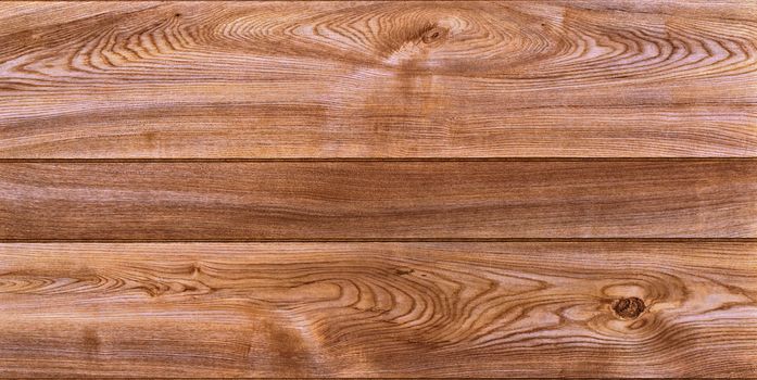 the brown wood texture with natural patterns