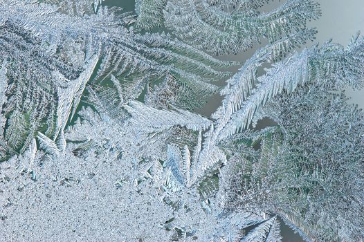 Frosty natural pattern at a winter window glass